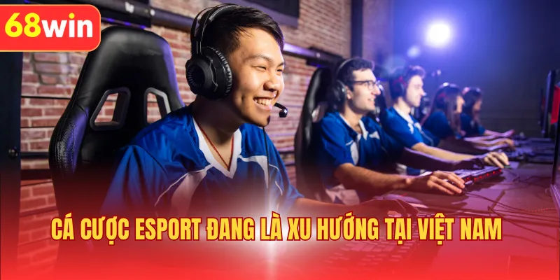 Cá cược thể thao điện tử đang là xu hướng tại Việt Nam 