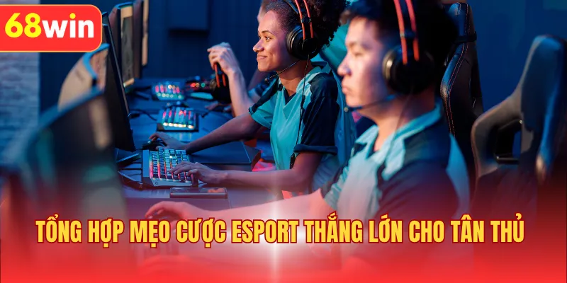 Tổng hợp mẹo cược Esport thắng lớn cho tân thủ 